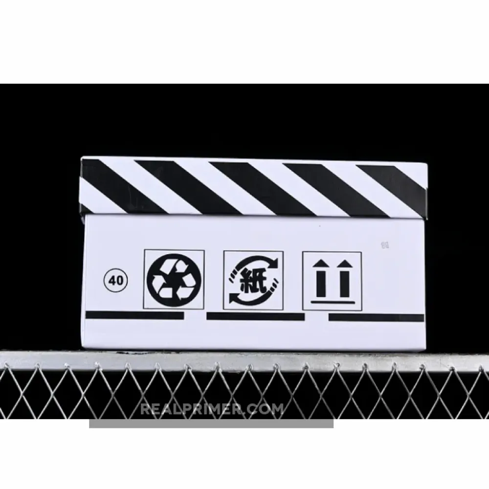 DUNK LOW SB WHITE/BLACK DD1391-100