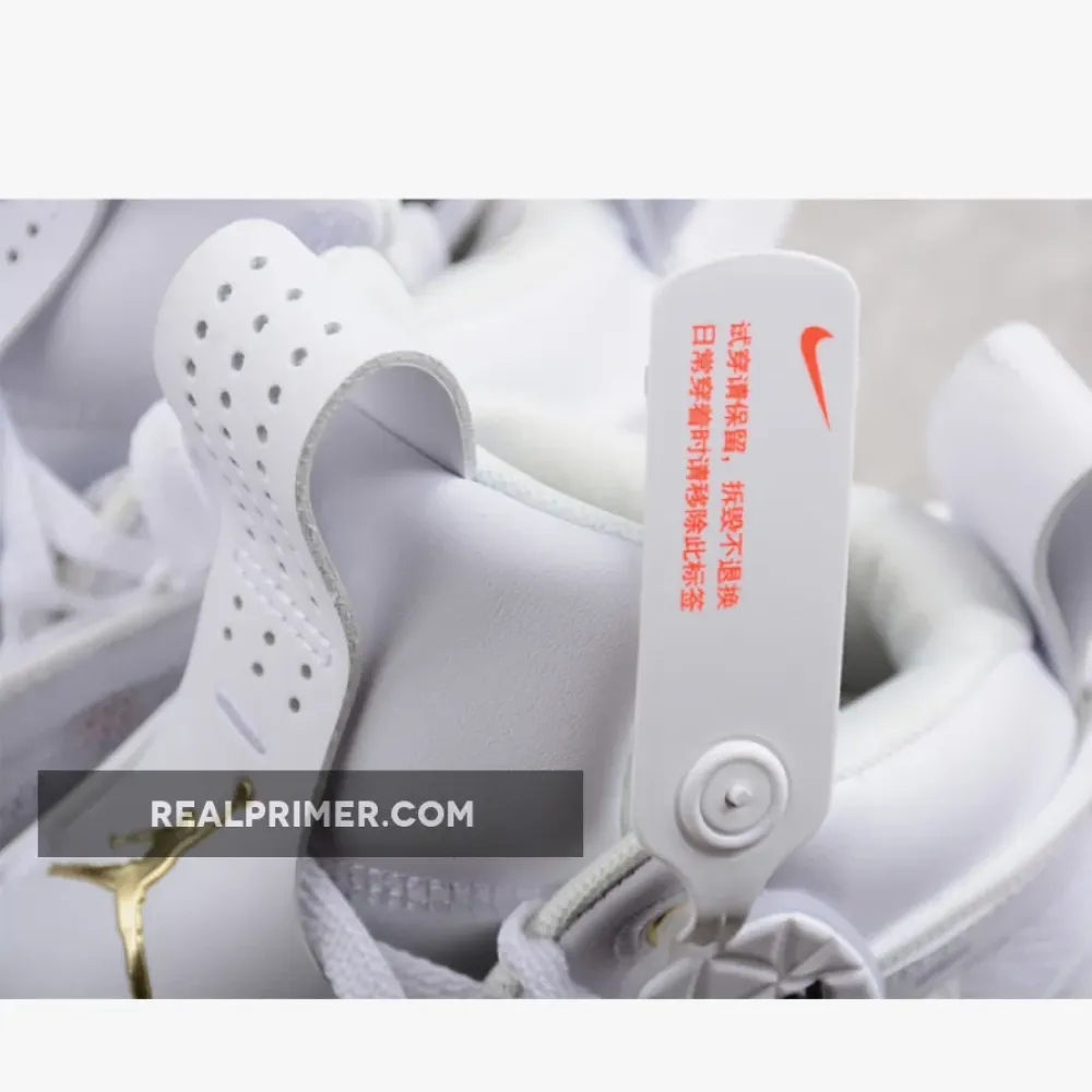 AIR JORDAN 36 SE PF GLORY WHITE/BLACK/GAME ROYAL/METALLIC GOLD DM7580-100