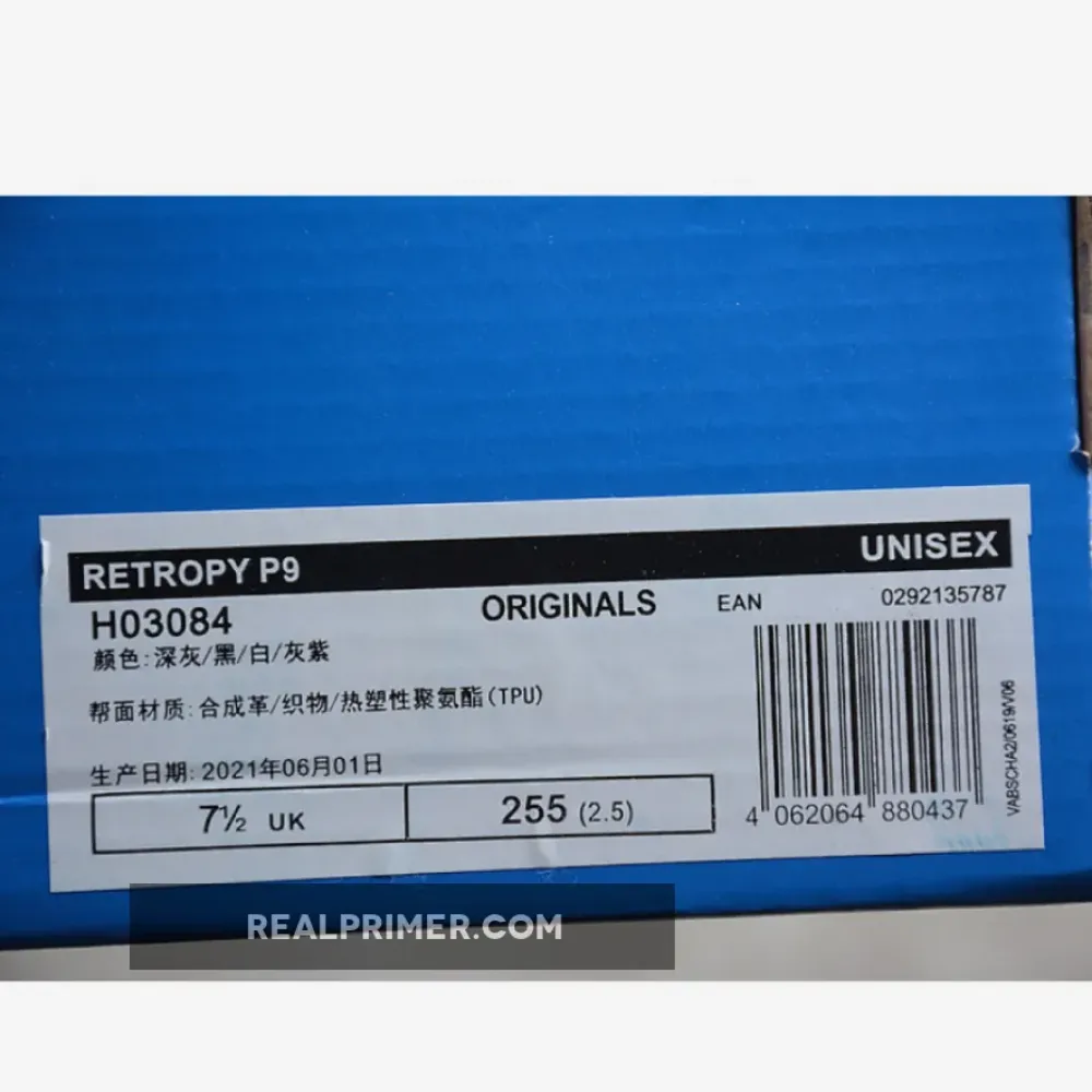 RETROPY P9 SHOES ASH PEARL/BLUE/RED BOX/DASH GREEN H03084