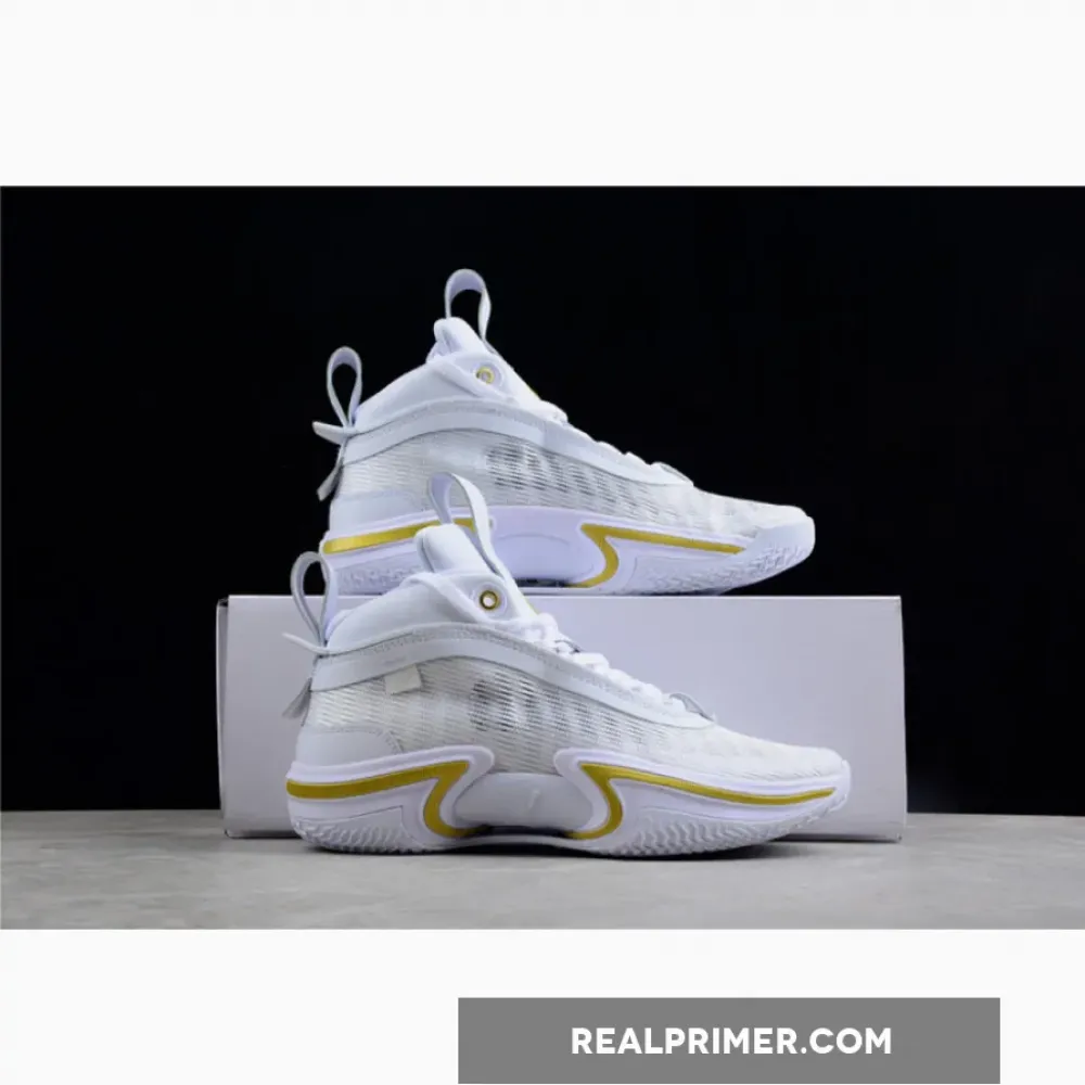 AIR JORDAN 36 SE PF GLORY WHITE/BLACK/GAME ROYAL/METALLIC GOLD DM7580-100