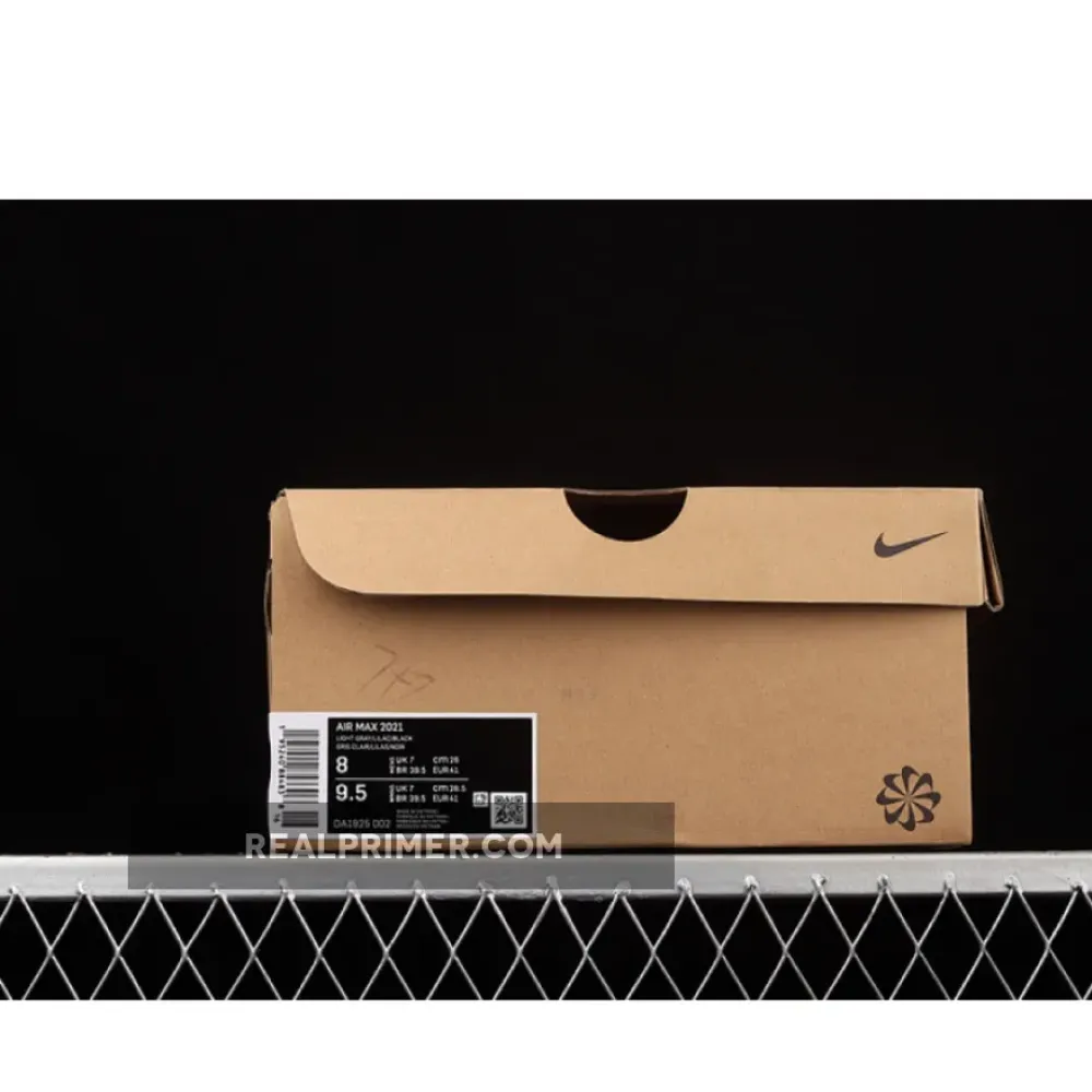 AIR MAX 2021 GHOST/ASHEN SLATE/OBSIDIAN MIST/OBSIDIAN DA1925-002