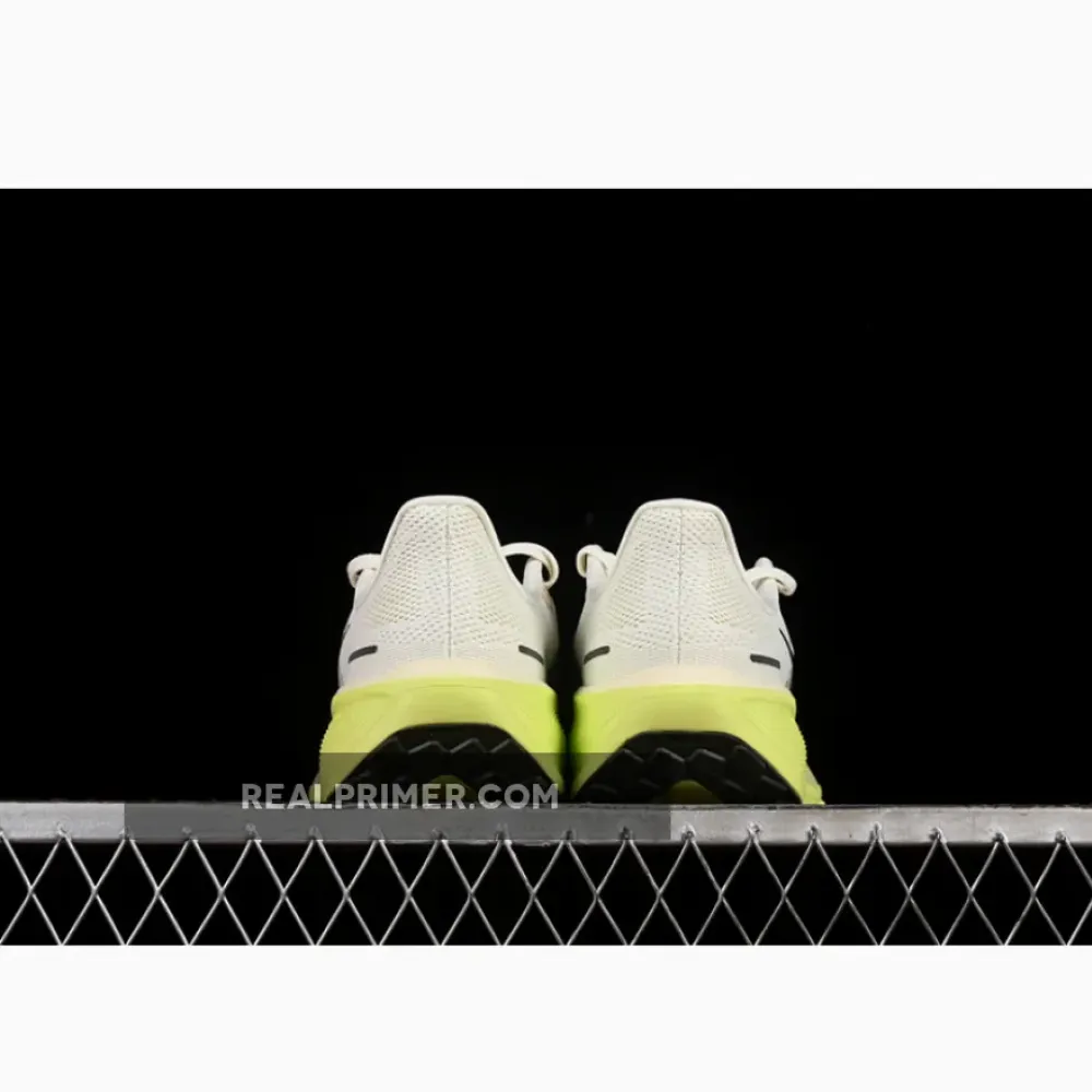 AIR ZOOM PEGASUS 41 GREY/BEIGE FD2722-109