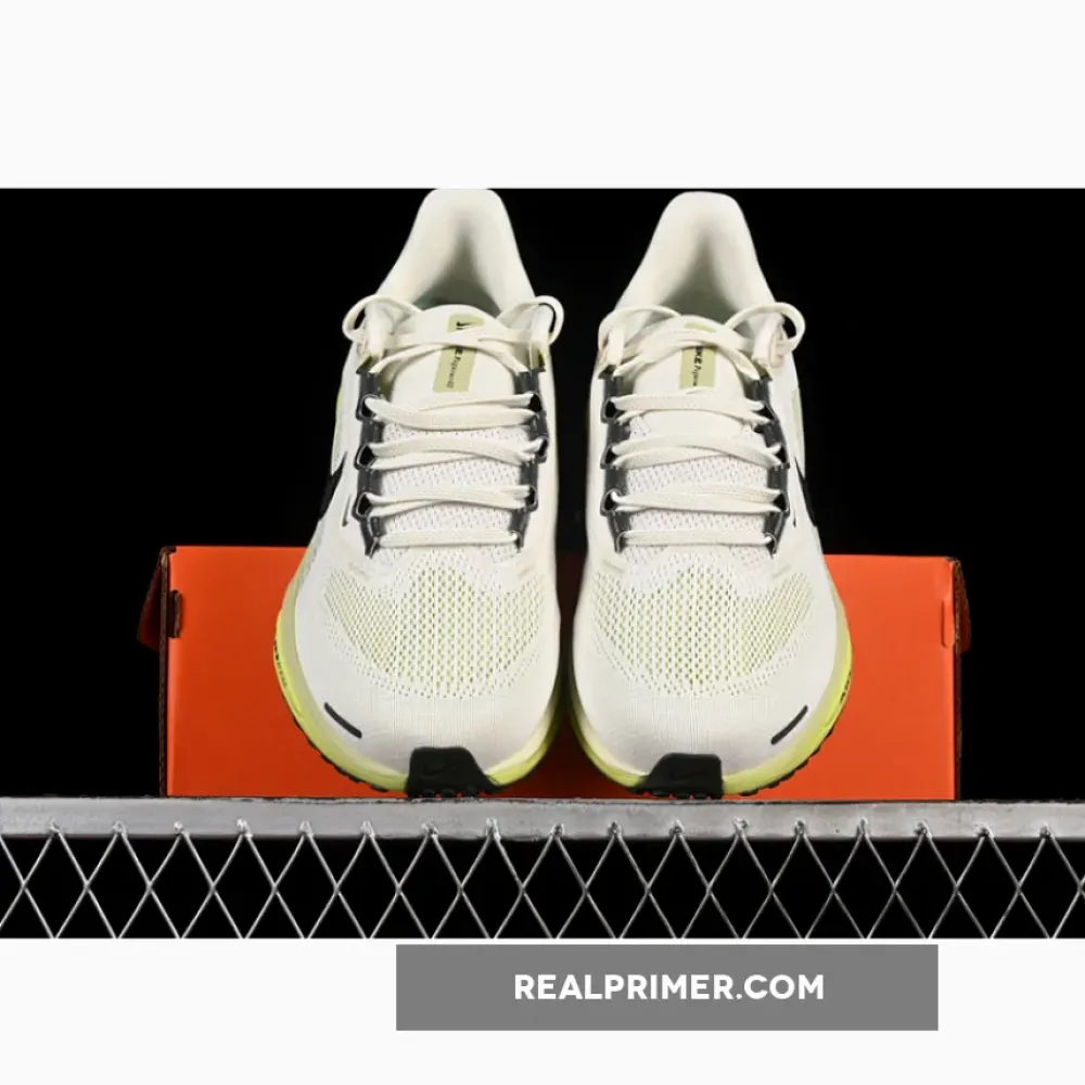 AIR ZOOM PEGASUS 41 GREY/BEIGE FD2722-109