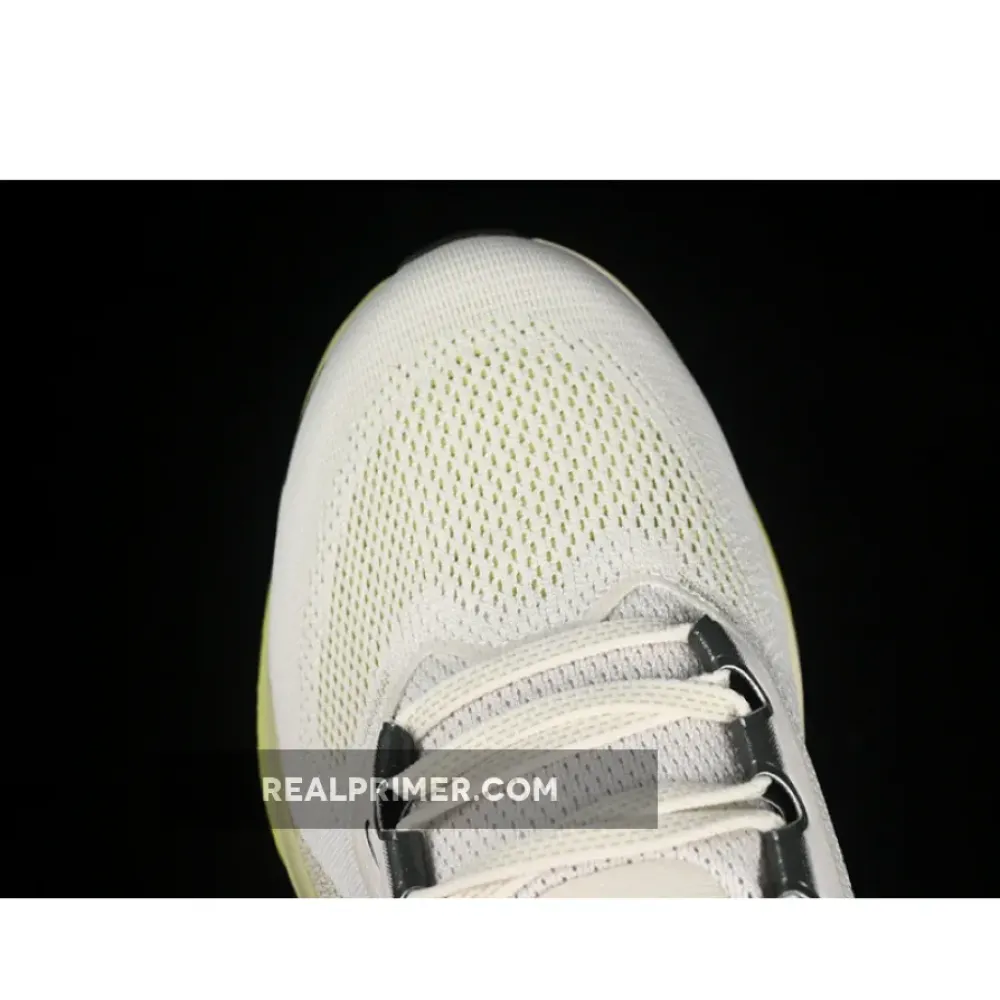 AIR ZOOM PEGASUS 41 GREY/BEIGE FD2722-109