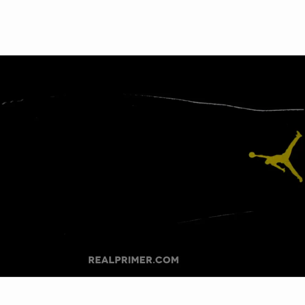 AIR JORDAN 11 RETRO GAMMA BLUE BLACK/BLUE CT8012-047