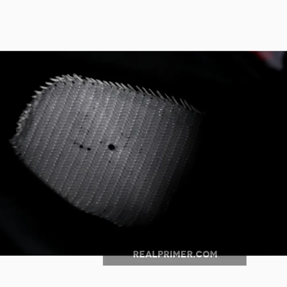 AIR JORDAN 12 RETRO BLOODLINE BLACK/RED CT8013-001